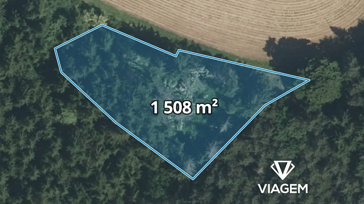 Prodej lesa 1508 m²